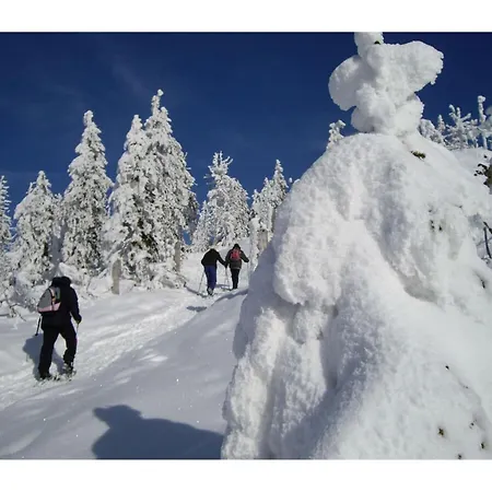 Mountain In