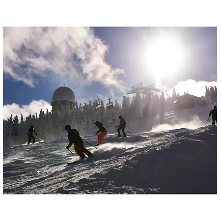 Daire Mountain In *