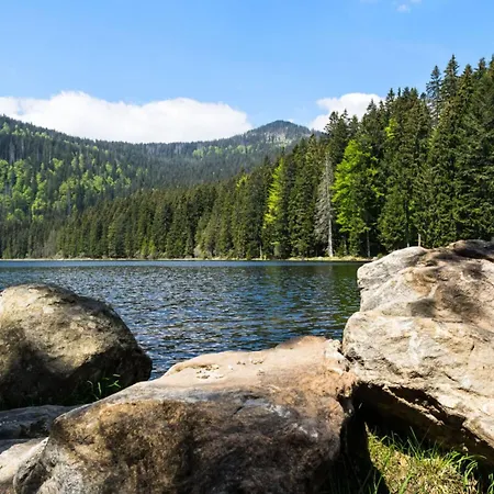 Daire Mountain In Bad Koetzting