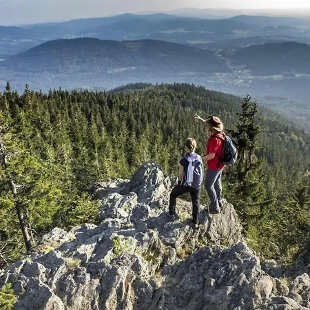 Mountain In Bad Koetzting