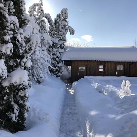 Mountain In Daire Bad Koetzting