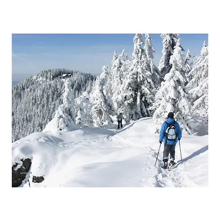 Mountain In Appartement *